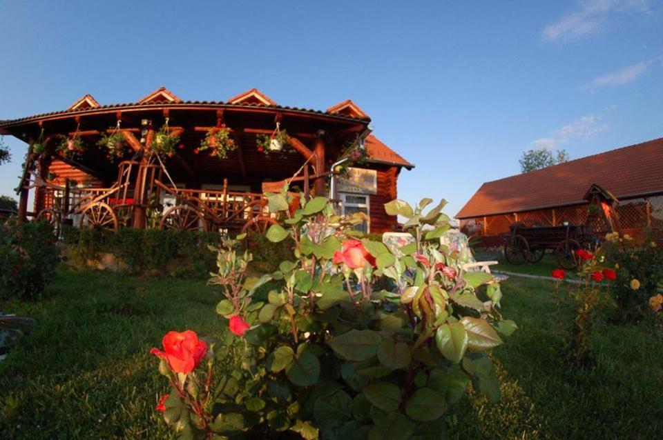 Roenk-Wellness Panzio Mezopeterd Bed and Breakfast Buitenkant foto